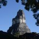 Un templo maya en Tikal, Guatemala.